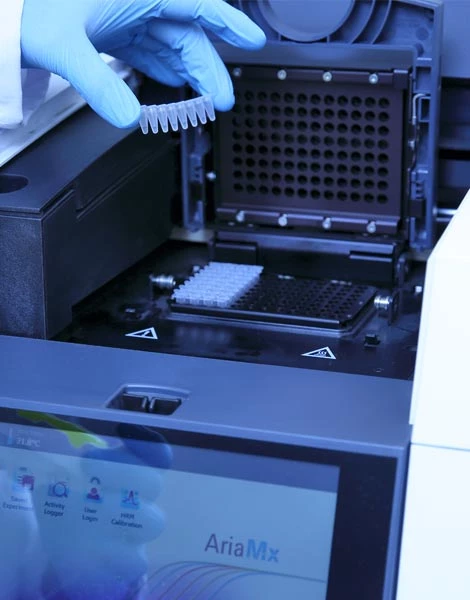 Moleküler Biyolojik Analizler