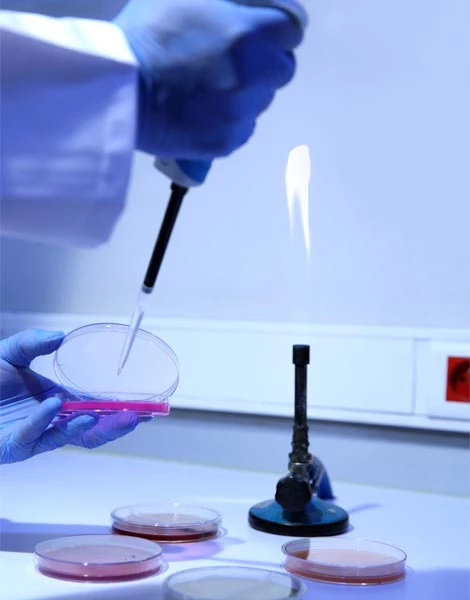 Biyolojik Etkinlik ve Stabilite Analizleri