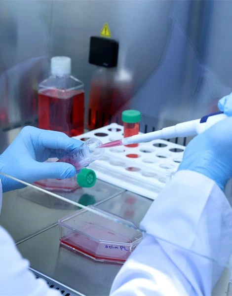 Virüsidal Etkinlik Analizleri